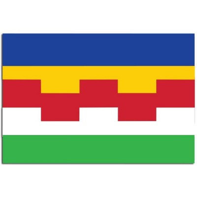 Gemeente vlag Maasdriel - 2