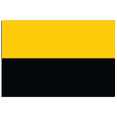 Gemeente vlag Tiel - 2 Gemeente vlag Tiel - 2