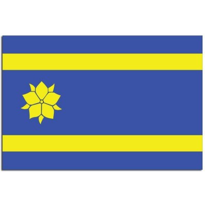 Gemeente vlag Hattem - 2 Gemeente vlag Hattem - 2