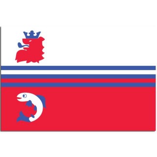 Gemeente vlag Neerijnen - 2