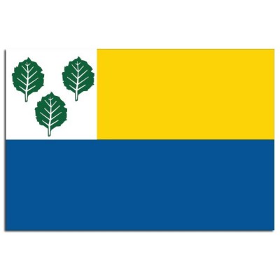 Gemeente vlag Oldebroek - 2