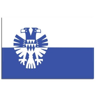 Gemeente vlag Arnhem - 2