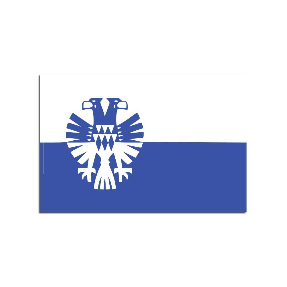 Gemeente vlag Arnhem - 2