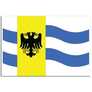 Gemeente vlag West Maas en Waal - 2