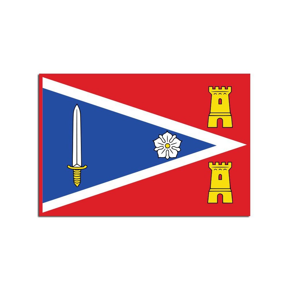 Gemeente vlag Zaltbommel - 2