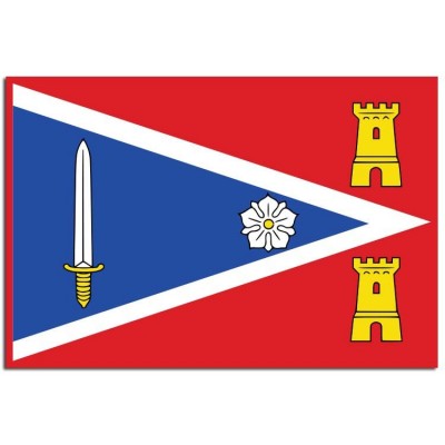 Gemeente vlag Zaltbommel - 2 Gemeente vlag Zaltbommel - 2