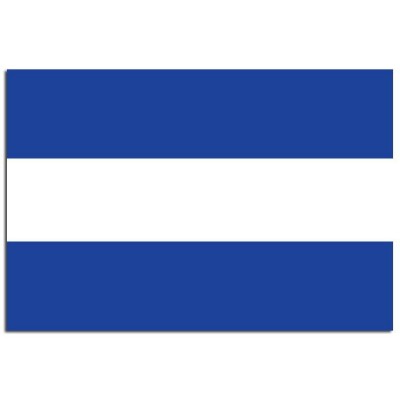 Gemeente vlag Almelo - 2