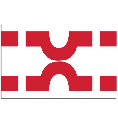 Gemeente vlag Losser - 2