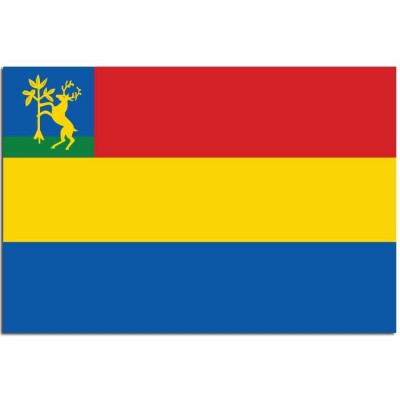 Gemeente vlag Hellendoorn - 2 Gemeente vlag Hellendoorn - 2