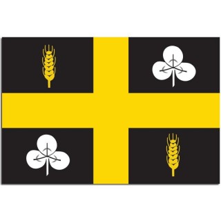 Gemeindeflagge Raalte - 2