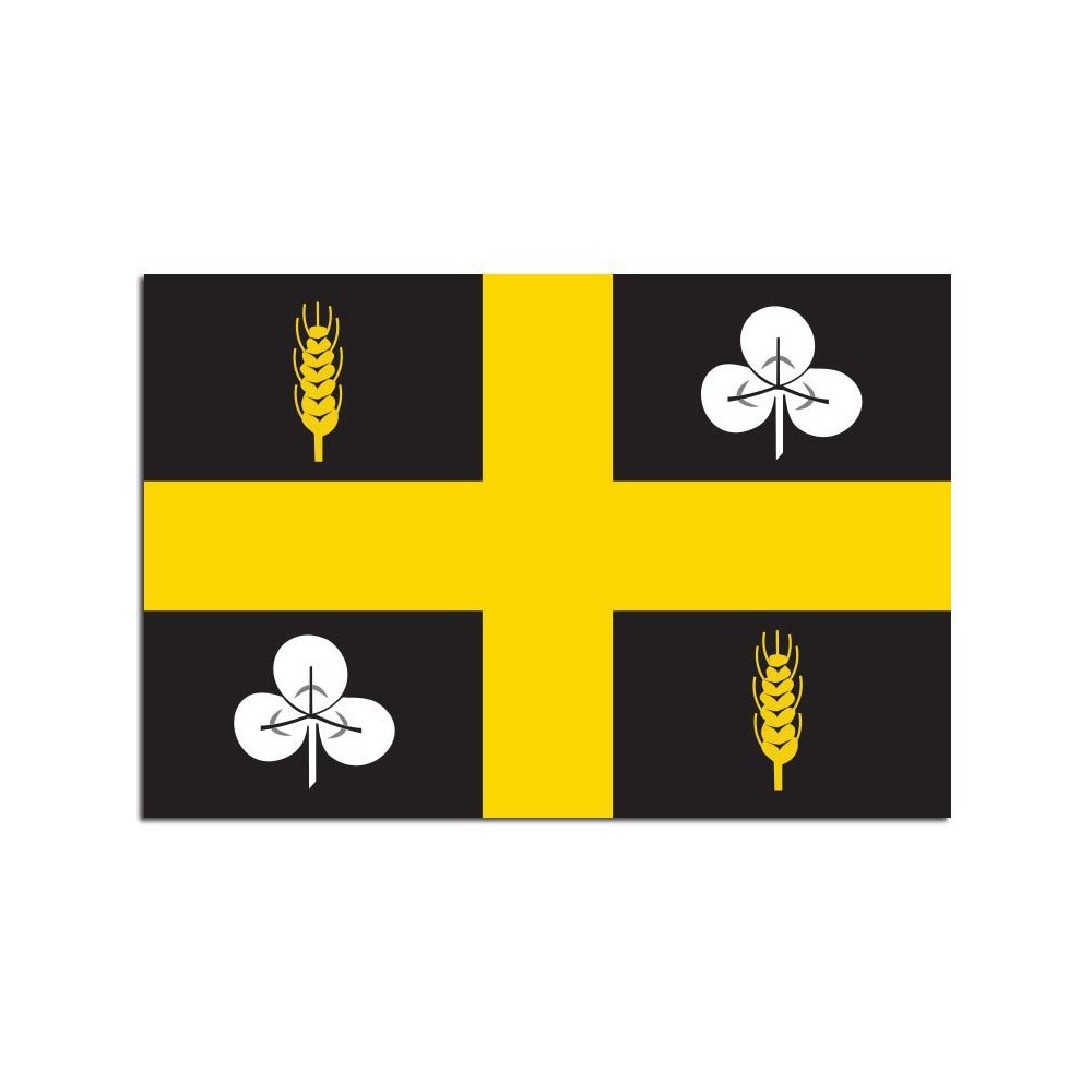 Gemeindeflagge Raalte - 2