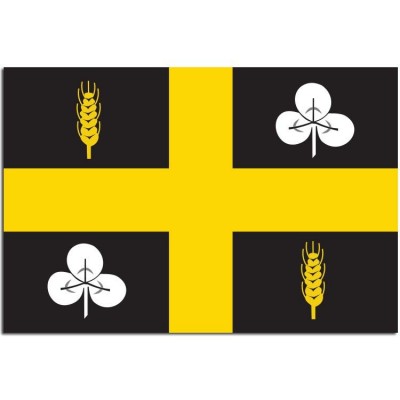 Gemeente vlag Raalte - 2 Gemeente vlag Raalte - 2