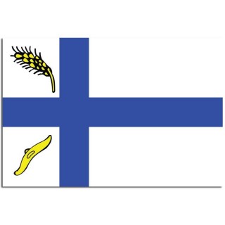 Gemeente vlag Wierden - 2