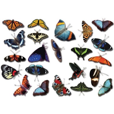 Fiets stickers Vlinders set 2 - 1 Fiets stickers Vlinders set 2 - 1