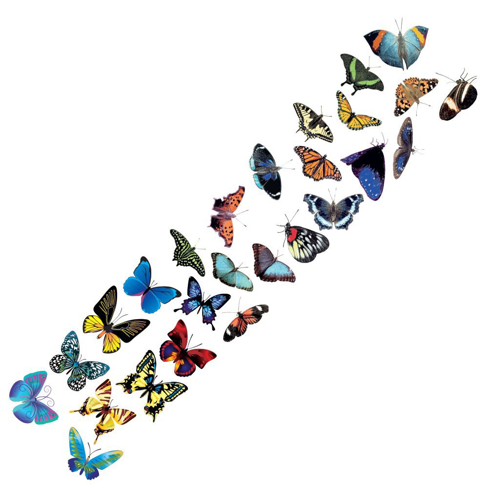 Een meter vlinders - Type A - 1