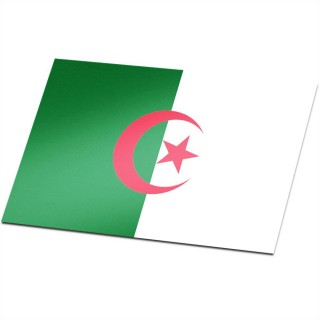 Vlag Algerije - 1