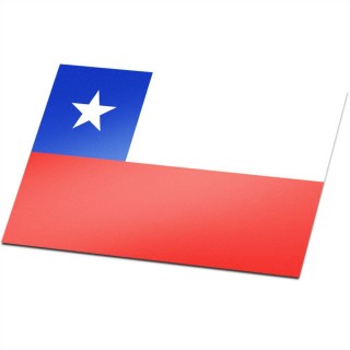 Vlag Chili - 1