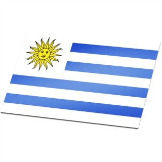Vlag Uruguay - 1