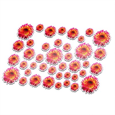 Fietsstickers bloemen set 15 - 1