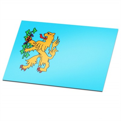 Gemeente vlag Brummen - 1