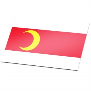 Gemeente vlag Doesburg - 1