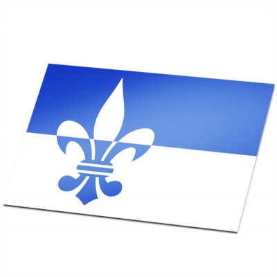 Gemeente vlag Scherpenzeel - 1