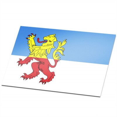 Gemeente vlag Neder-Betuwe - 1 Gemeente vlag Neder-Betuwe - 1