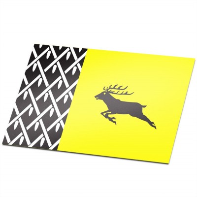 Gemeente vlag Nunspeet - 1