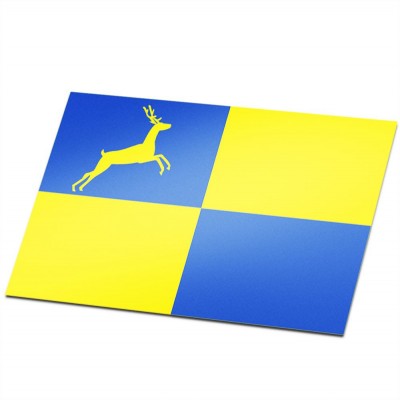 Gemeente vlag Putten - 1