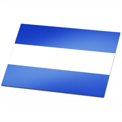 Gemeente vlag Almelo - 1