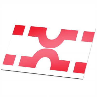 Gemeente vlag Losser - 1