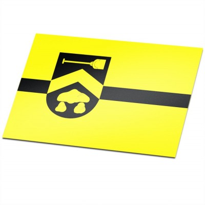 Gemeente vlag Borger-Odoorn - 1