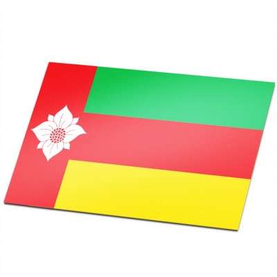 Gemeente vlag Tynaarlo - 1