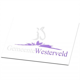 Gemeente vlag Westerveld - 1