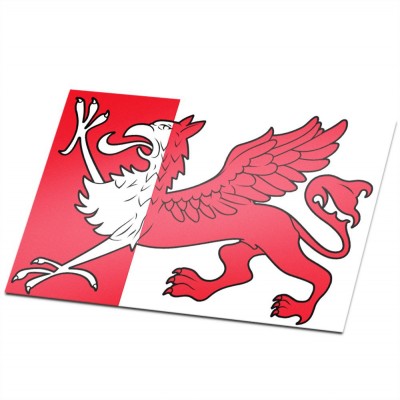 Gemeente vlag Ooststellingwerf - 1