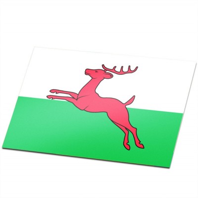 Gemeente vlag Smallingerland - 1