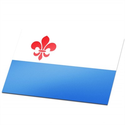 Gemeente vlag Roermond - 1