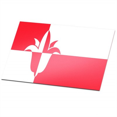 Gemeente vlag Bernheze - 1