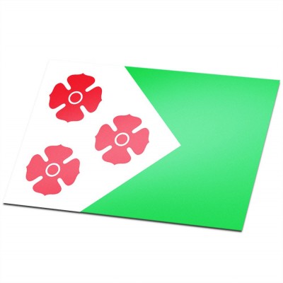 Gemeente vlag Maasdonk - 1