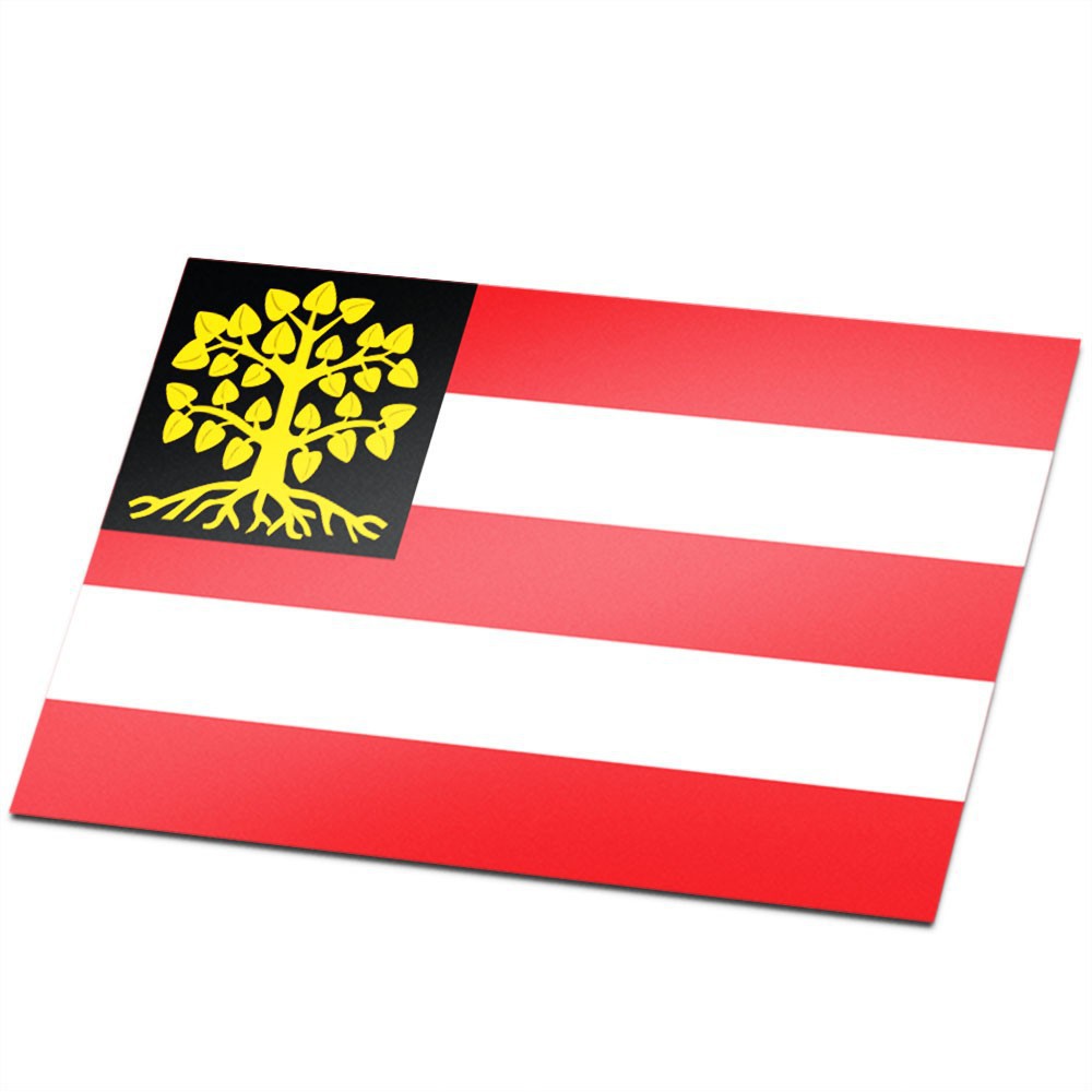 Gemeente vlag 's-Hertogenbosch - 1