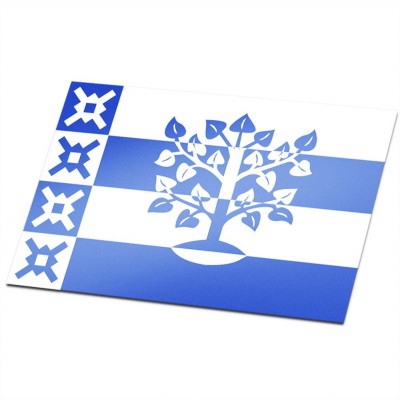 Gemeente vlag Haaren - 1