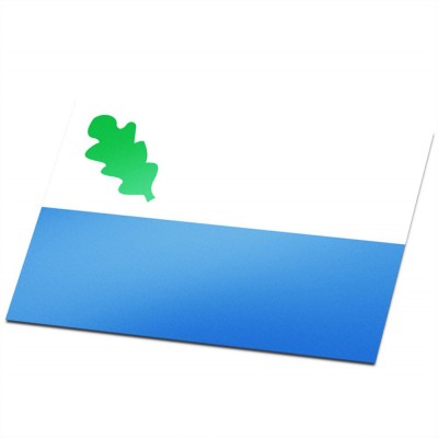 Gemeente vlag Oirschot - 1