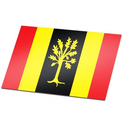 Gemeente vlag Waalwijk - 1