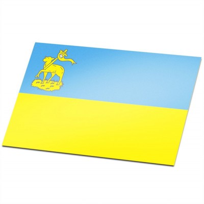 Gemeente vlag Velsen - 1