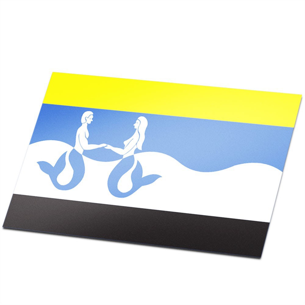 Gemeente vlag Schouwen-Duiveland - 1