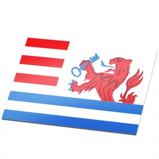 Gemeente vlag Terneuzen - 1