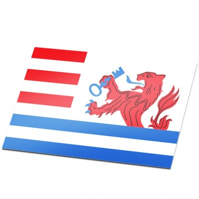 Gemeente vlag Terneuzen - 1