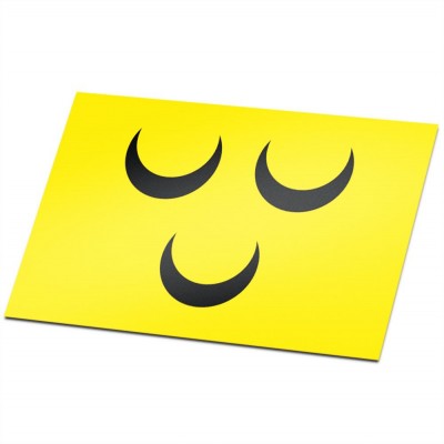 Gemeente vlag Voorschoten - 1