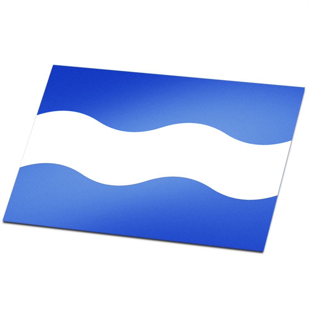 Gemeente vlag Maassluis - 1