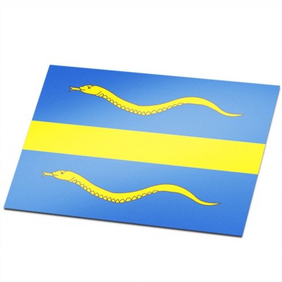 Gemeente vlag Pijnacker-Nootdorp - 1 Gemeente vlag Pijnacker-Nootdorp - 1